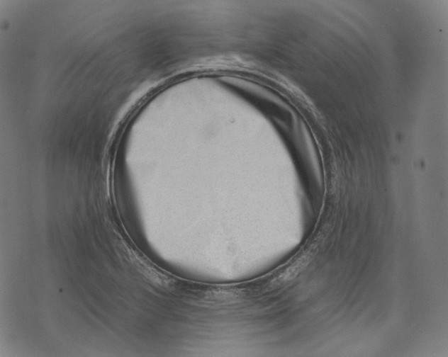 X0000074211224200609151548