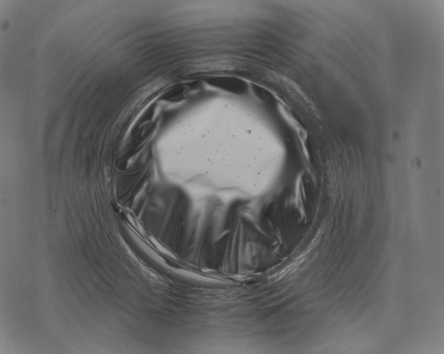 X0000074211225200609151548