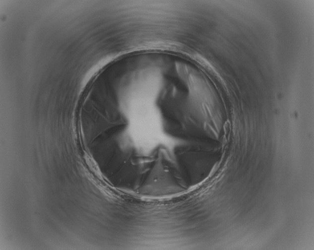 X0000074211230200609151548