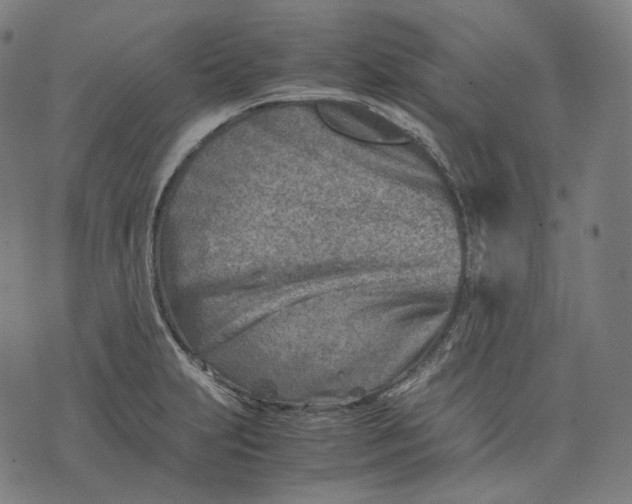 X0000074211231200609151548