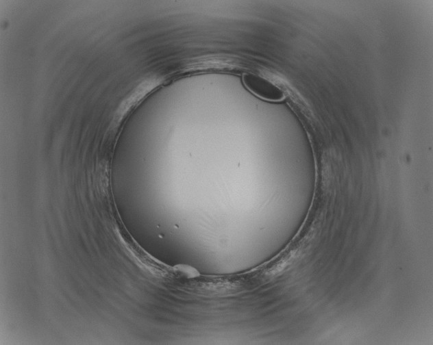 X0000074211233200609151548