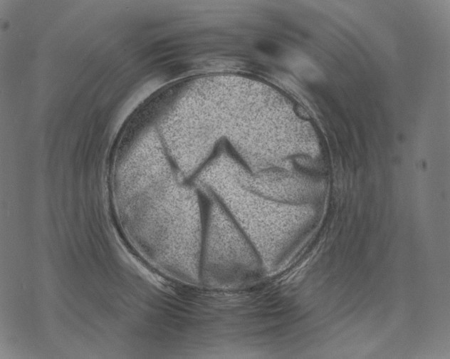 X0000074211235200609151548