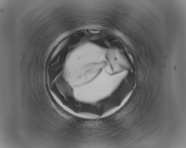 X0000074211237200609151548