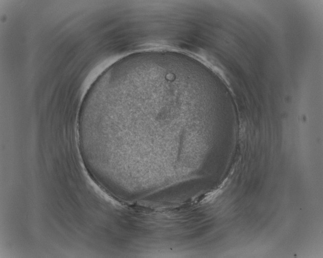 X0000074211239200609151548