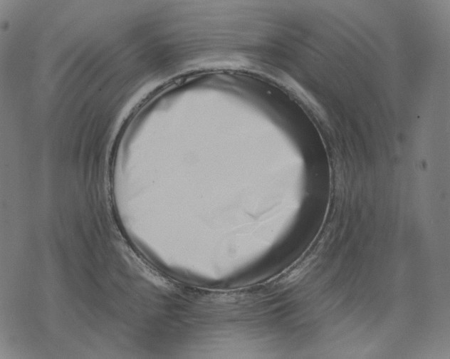 X0000074211240200609151548