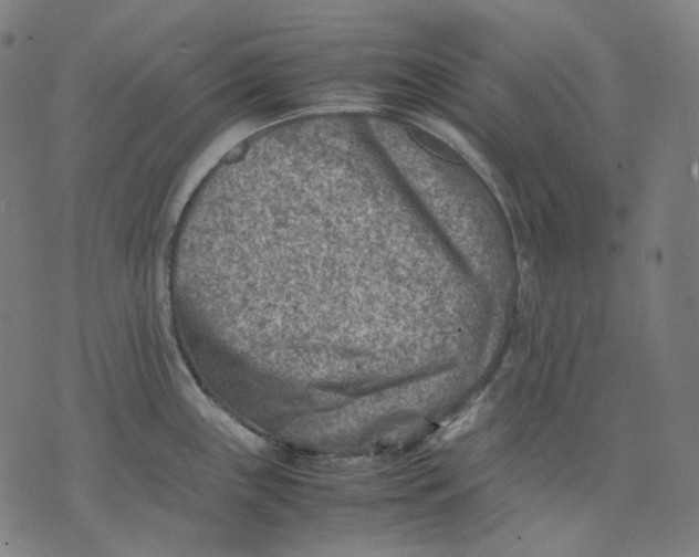 X0000074211243200609151548