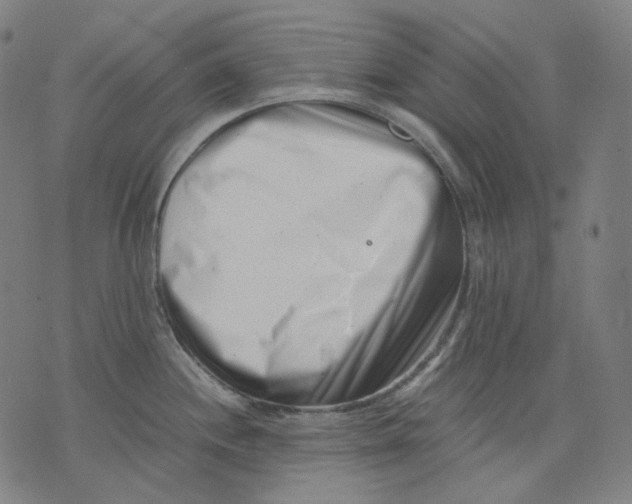 X0000074211244200609151548