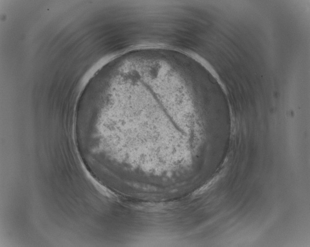 X0000074211245200609151548