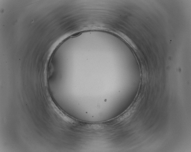 X0000074211246200609151548