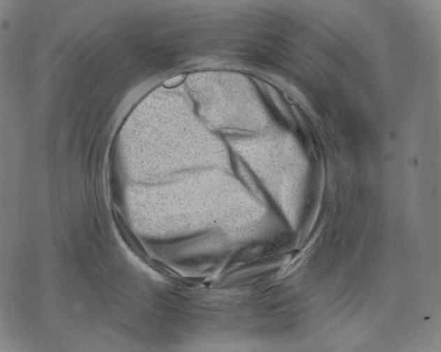 X0000074211247200609151548