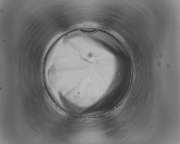 X0000074211248200609151548