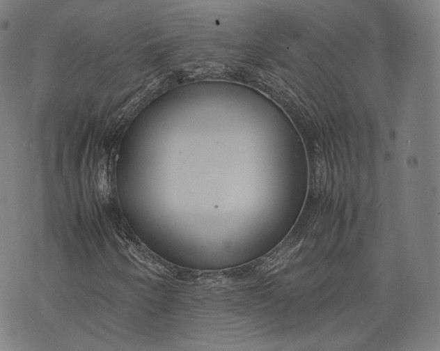 X0000074211250200609151547