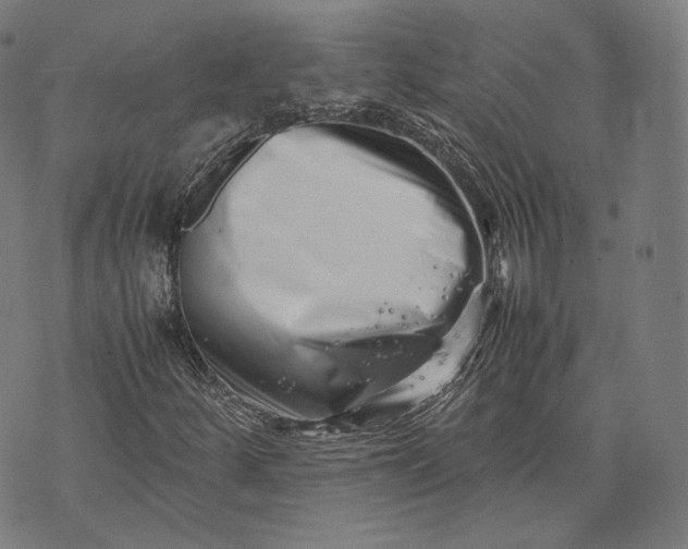 X0000074211252200609151547