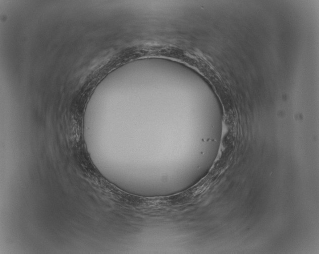 X0000074211253200609151547