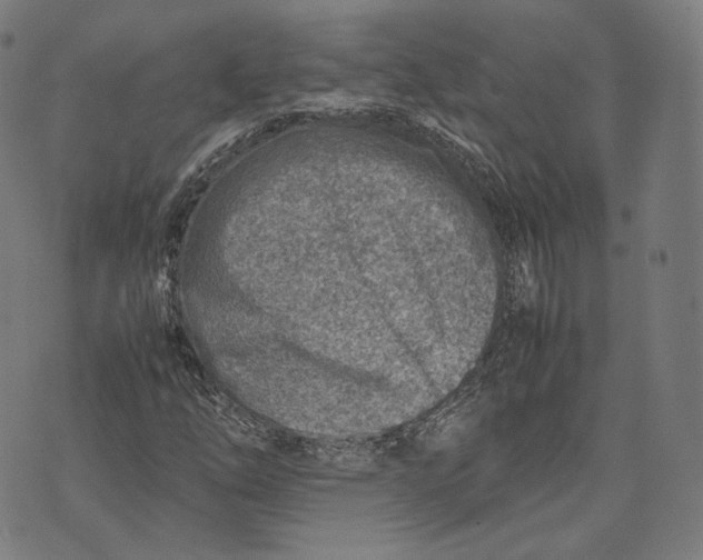 X0000074211254200609151547