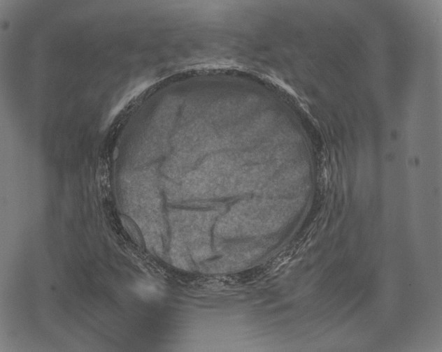 X0000074211255200609151547