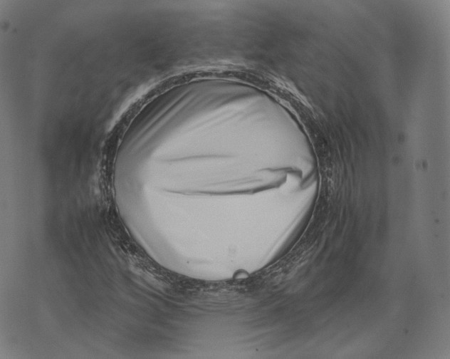 X0000074211256200609151547