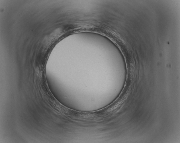 X0000074211257200609151547