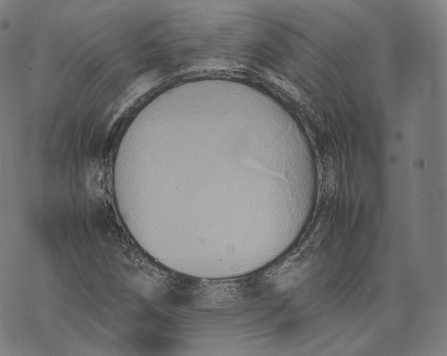 X0000074211258200609151547