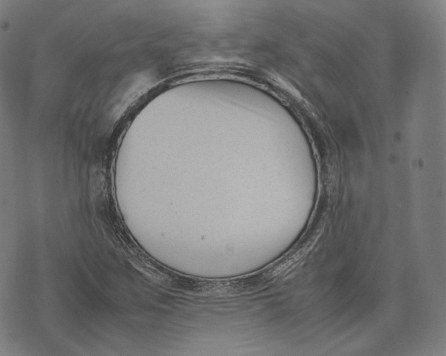 X0000074211259200609151547