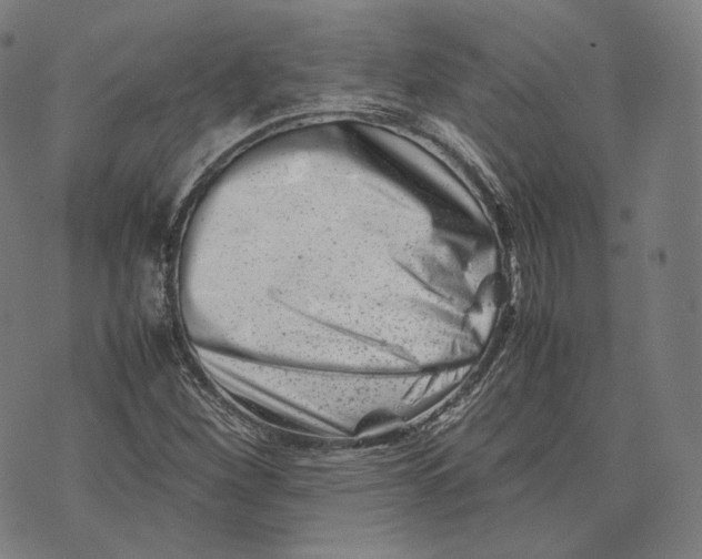 X0000074211260200609151547