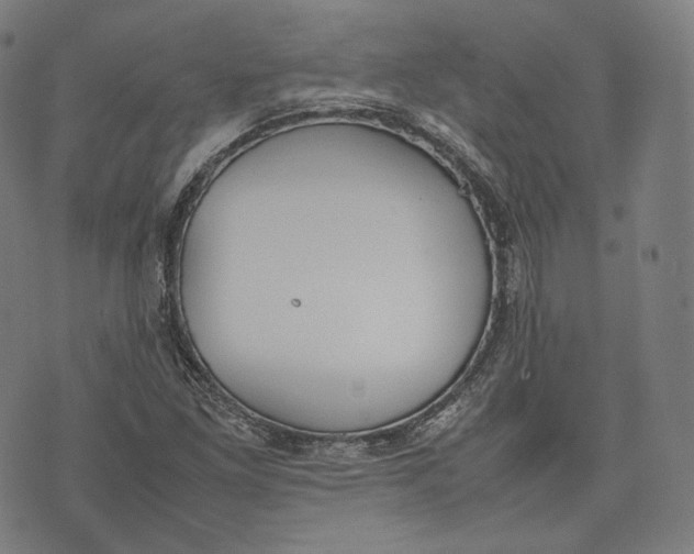 X0000074211261200609151547