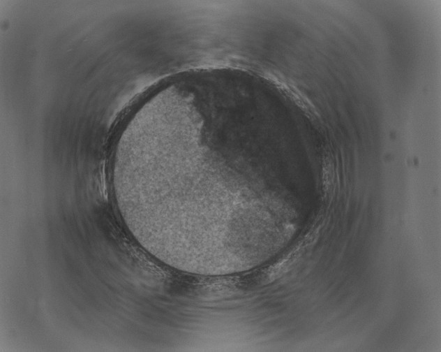 X0000074211262200609151547