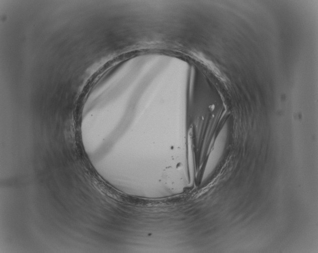 X0000074211264200609151547