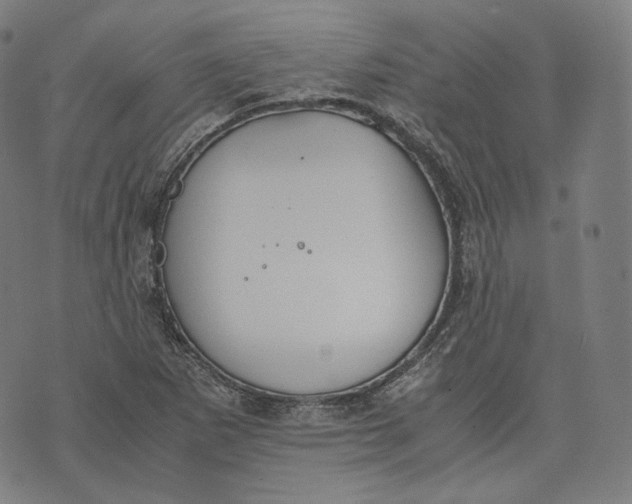 X0000074211265200609151547