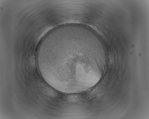 X0000074211266200609151547