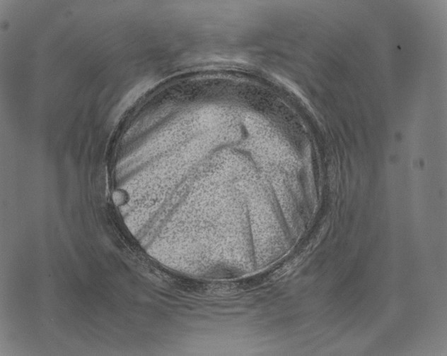 X0000074211267200609151547