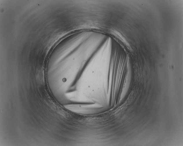 X0000074211268200609151547