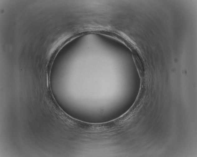 X0000074211269200609151547