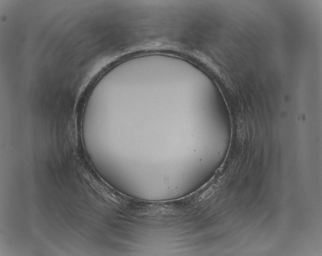 X0000074211270200609151547