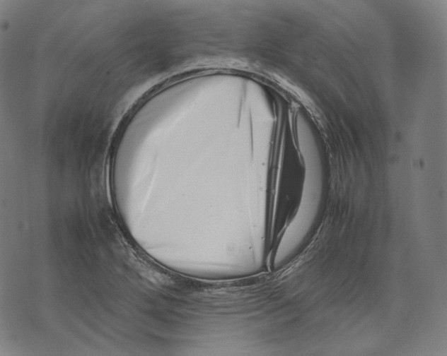 X0000074211272200609151547