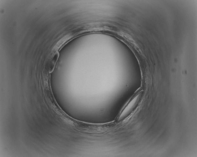 X0000074211273200609151547