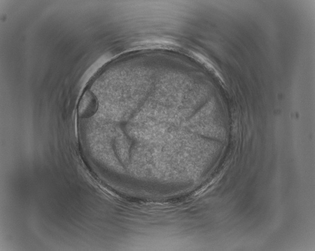 X0000074211275200609151547