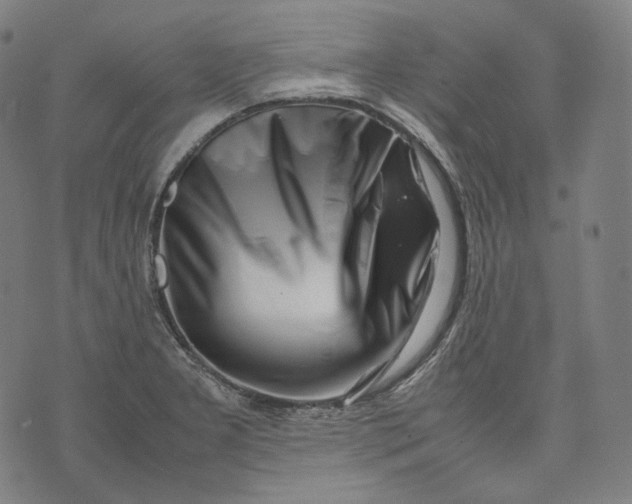 X0000074211277200609151547