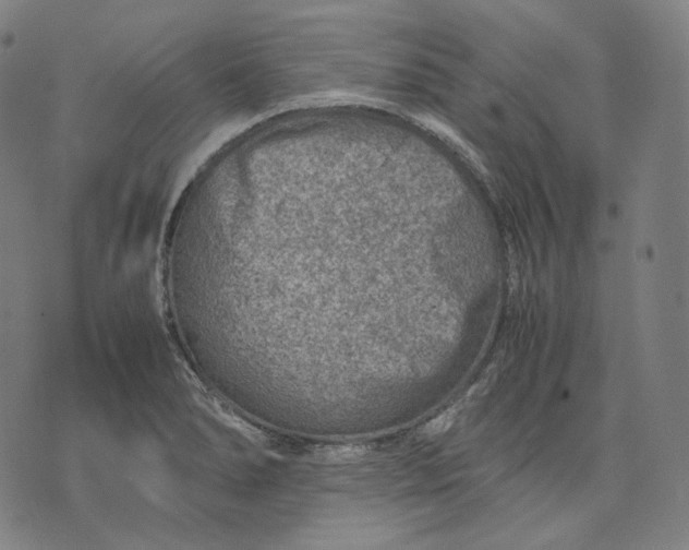 X0000074211278200609151547