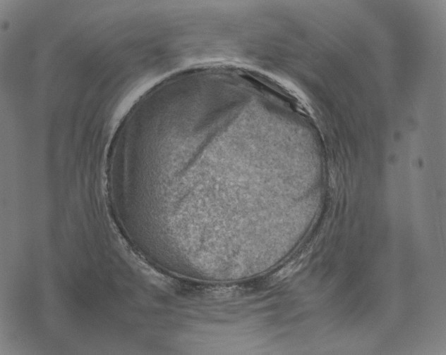 X0000074211279200609151547