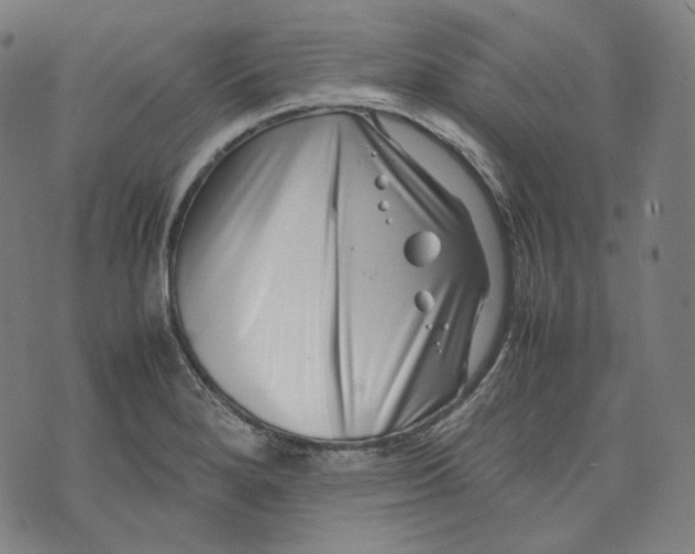 X0000074211280200609151547