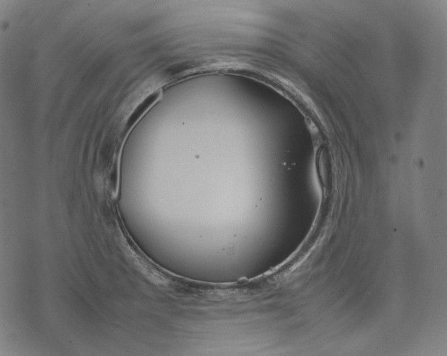 X0000074211281200609151547