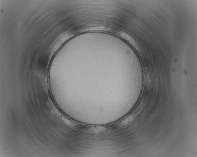 X0000074211282200609151547