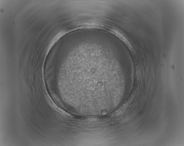 X0000074211283200609151547