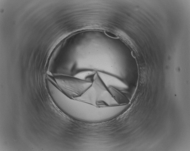 X0000074211284200609151547