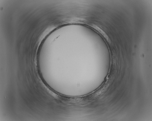 X0000074211285200609151547