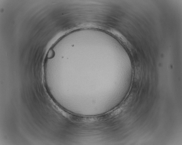 X0000074211286200609151547