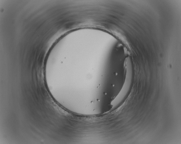 X0000074211288200609151547