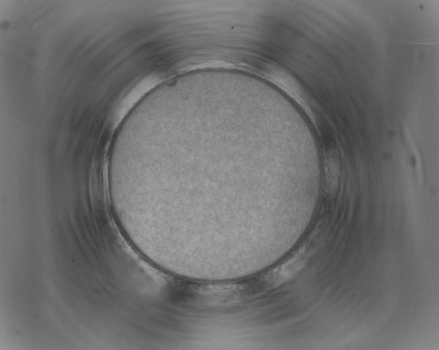 X0000074211290200609151547