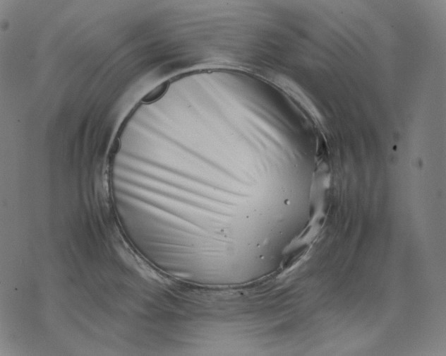 X0000074211292200609151547